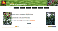 Desktop Screenshot of cvetovod.dnepro.net