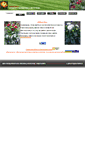 Mobile Screenshot of cvetovod.dnepro.net